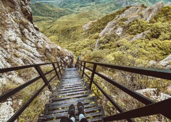 How 14 professional travelers spent the summer