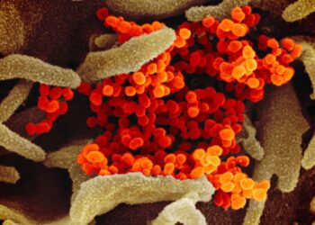 More than two million new US Covid-19 cases and 24,000 deaths in 2021
