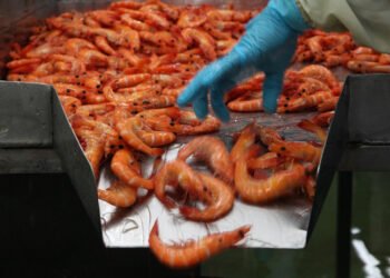 Export prospects determined to grow