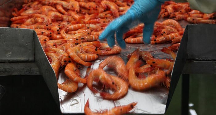Export prospects determined to grow