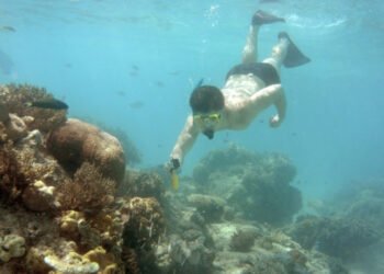 Great Barrier Reef’s World Heritage status at risk