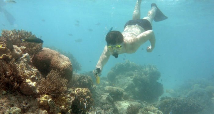 Great Barrier Reef’s World Heritage status at risk