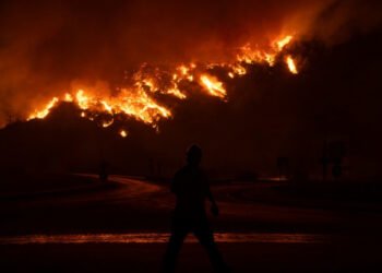 Deadly wildfires reach Turkish power plant, sparking evacuations