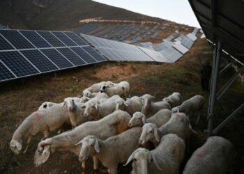 Human cost of China’s green energy rush ahead of Winter Olympics