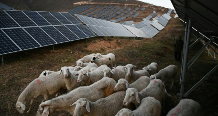 Human cost of China’s green energy rush ahead of Winter Olympics