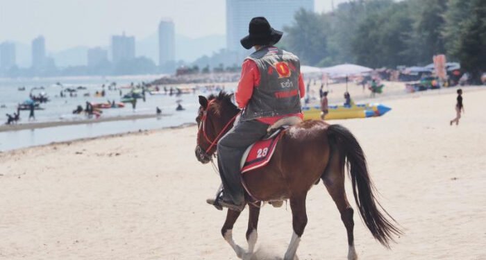 Government to plug ‘Wellness Sandbox’