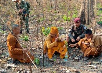 Monks on pilgrimage found lost in forest