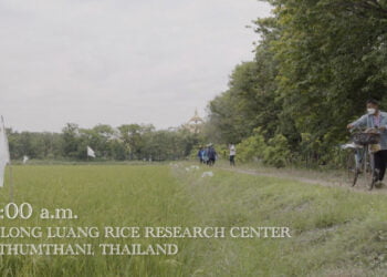 “Love Language of Food”: Student Film Project Spotlights Cuisine as Common Denominator Across Cultures, Continents