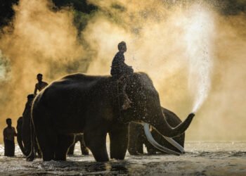 The Best Of Thailand’s Chiang Mai