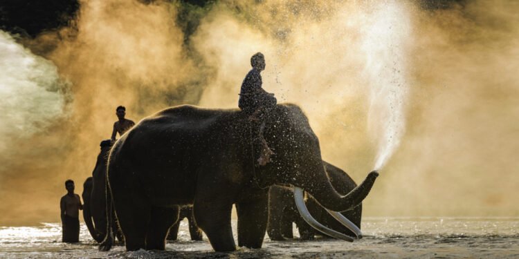 The Best Of Thailand’s Chiang Mai