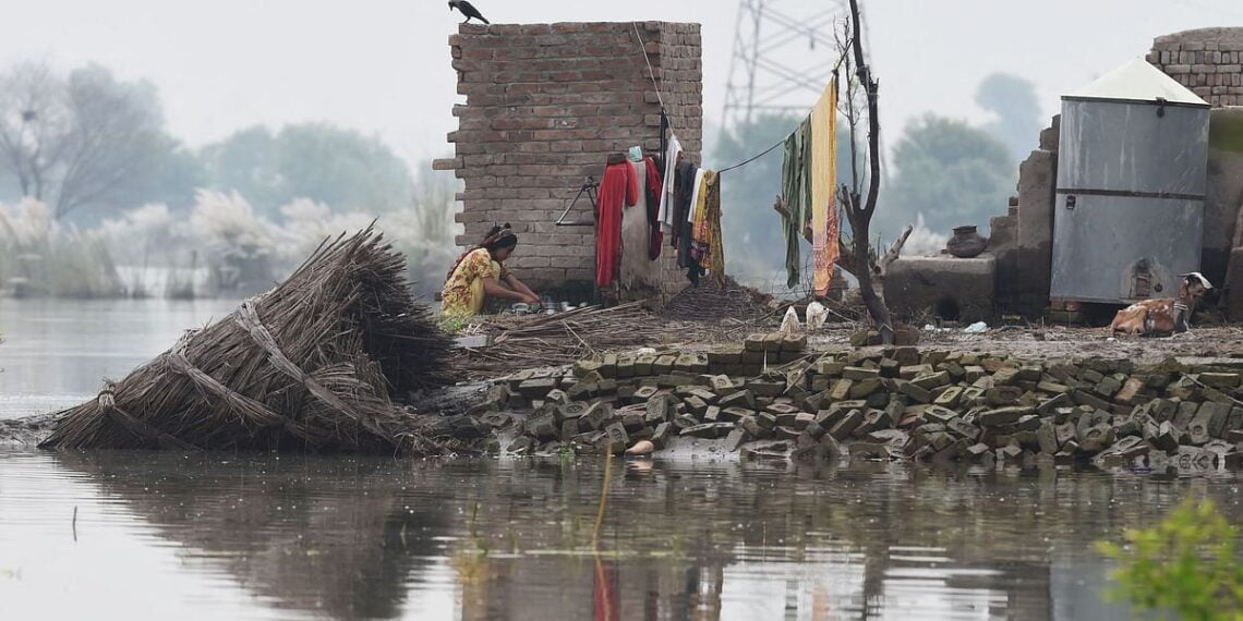 ‘We’ve gone back 50 years’: Pakistan farmers count flood damage
