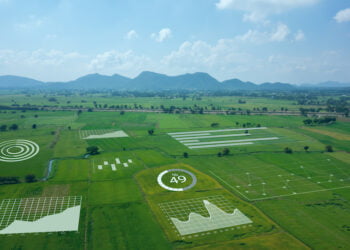 Will Integrating Digital Technologies into the Food System Work?