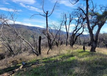 Land Trust of Napa County agrees to buy controversial Walt Ranch property from Hall Wines