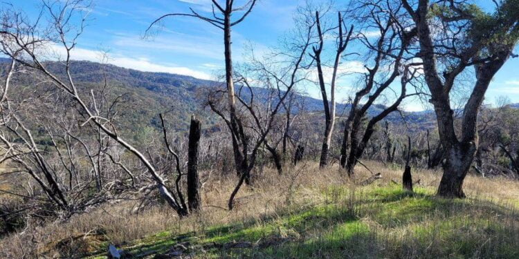 Land Trust of Napa County agrees to buy controversial Walt Ranch property from Hall Wines