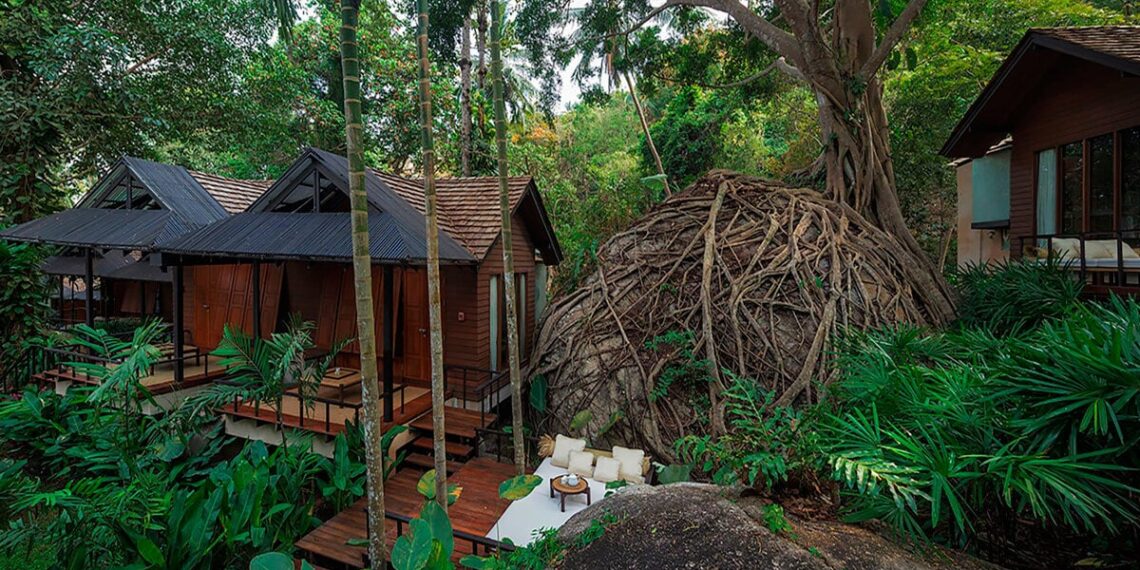 tropical rainforest envelops renovated spa resort in thailand