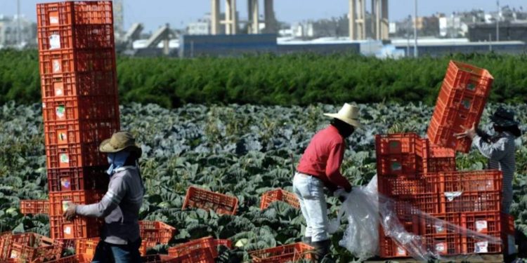 Over 5 million senior Thais still working without formal education – Thailand News – Thailand News, Travel & Forum