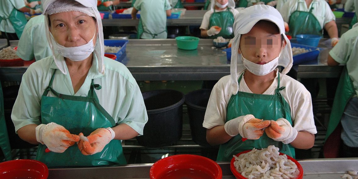 US Department of Labor: Forced labor no longer prevalent in Thailand’s shrimp sector